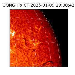 gong - 2025-01-09T19:00:42