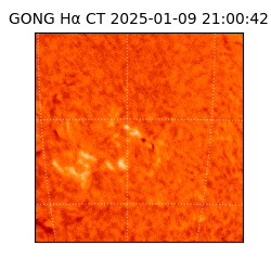 gong - 2025-01-09T21:00:42