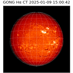 gong - 2025-01-09T15:00:42