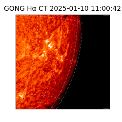 gong - 2025-01-10T11:00:42
