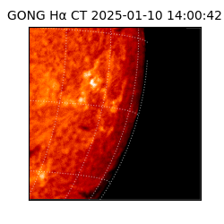 gong - 2025-01-10T14:00:42