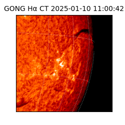 gong - 2025-01-10T11:00:42