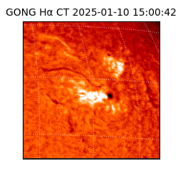 gong - 2025-01-10T15:00:42