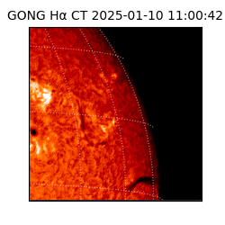 gong - 2025-01-10T11:00:42