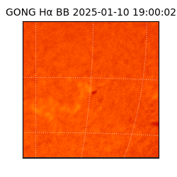 gong - 2025-01-10T19:00:02