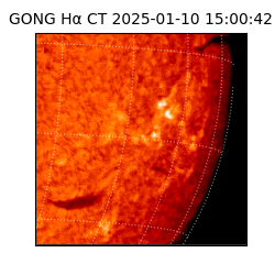 gong - 2025-01-10T15:00:42