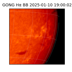gong - 2025-01-10T19:00:02