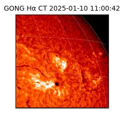 gong - 2025-01-10T11:00:42