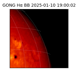 gong - 2025-01-10T19:00:02