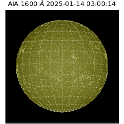 saia - 2025-01-14T03:00:14.125000