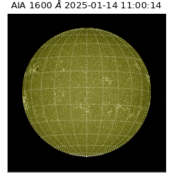 saia - 2025-01-14T11:00:14.126000