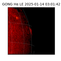 gong - 2025-01-14T03:01:42