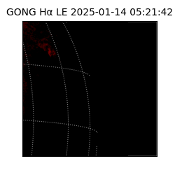 gong - 2025-01-14T05:21:42