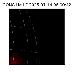 gong - 2025-01-14T06:00:42