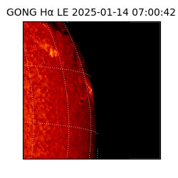 gong - 2025-01-14T07:00:42