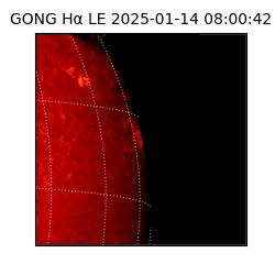 gong - 2025-01-14T08:00:42