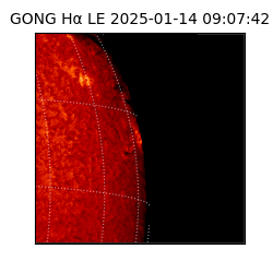 gong - 2025-01-14T09:07:42