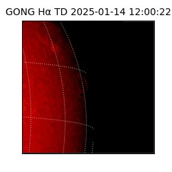 gong - 2025-01-14T12:00:22
