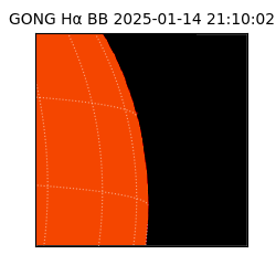 gong - 2025-01-14T21:10:02