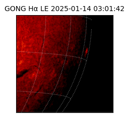gong - 2025-01-14T03:01:42