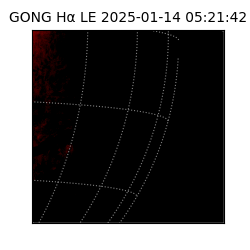 gong - 2025-01-14T05:21:42