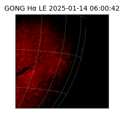 gong - 2025-01-14T06:00:42