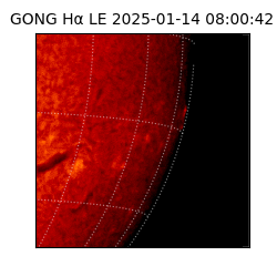 gong - 2025-01-14T08:00:42