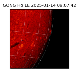 gong - 2025-01-14T09:07:42