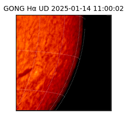 gong - 2025-01-14T11:00:02