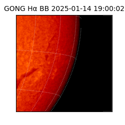 gong - 2025-01-14T19:00:02