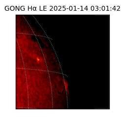 gong - 2025-01-14T03:01:42
