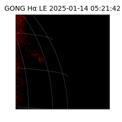 gong - 2025-01-14T05:21:42