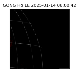 gong - 2025-01-14T06:00:42