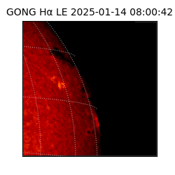 gong - 2025-01-14T08:00:42