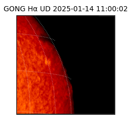 gong - 2025-01-14T11:00:02