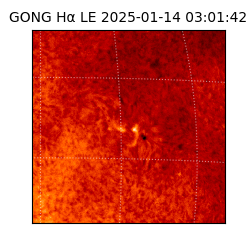 gong - 2025-01-14T03:01:42