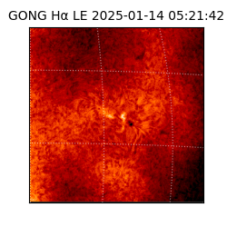 gong - 2025-01-14T05:21:42