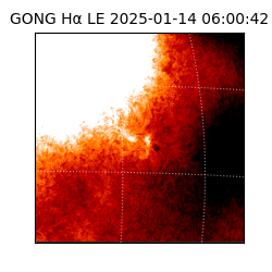 gong - 2025-01-14T06:00:42