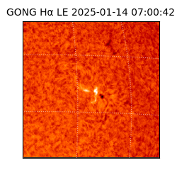 gong - 2025-01-14T07:00:42