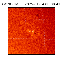 gong - 2025-01-14T08:00:42