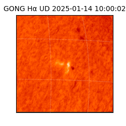 gong - 2025-01-14T10:00:02