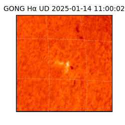 gong - 2025-01-14T11:00:02