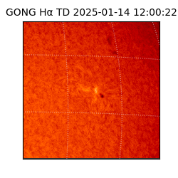 gong - 2025-01-14T12:00:22