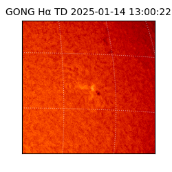 gong - 2025-01-14T13:00:22