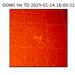 gong - 2025-01-14T16:00:22