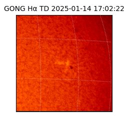 gong - 2025-01-14T17:02:22