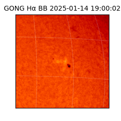 gong - 2025-01-14T19:00:02