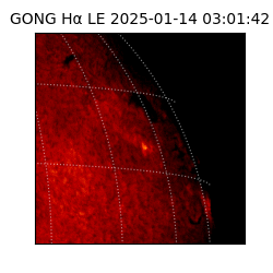 gong - 2025-01-14T03:01:42