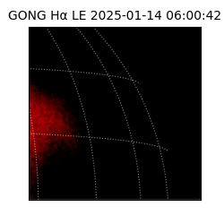 gong - 2025-01-14T06:00:42