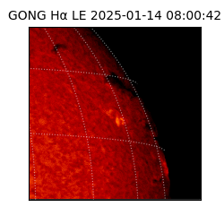 gong - 2025-01-14T08:00:42